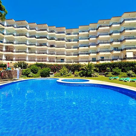 Vilamoura Palm Tree With Pool By Homing Luaran gambar